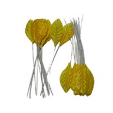 칼라장미잎(노랑색)