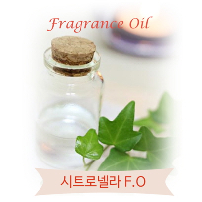 모기퇴치오일 시트로넬라 F.O 100ml